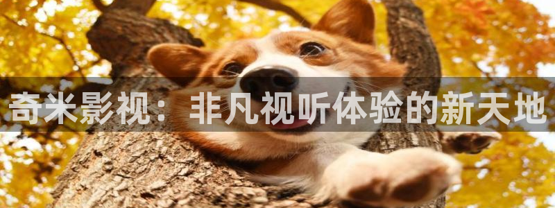 老湿机视频在线观看：奇米影视：非凡视听体验的新天地