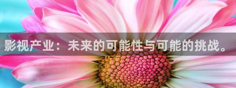 老湿影院高清：影视产业：未来的可能性与可能的挑战。