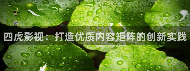老湿x影院：四虎影视：打造优质内容矩阵的创新实践