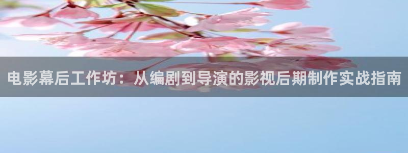 黄色老湿影院：电影幕后工作坊：从编剧到导演的影视后期制作实战指南