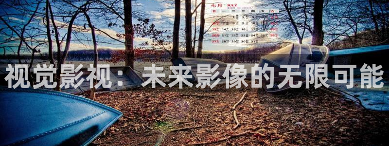 老湿：视觉影视：未来影像的无限可能
