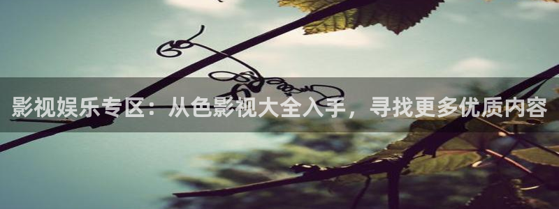 老湿机影院免费版：影视娱乐专区：从色影视大全入手，寻找更多优质内容