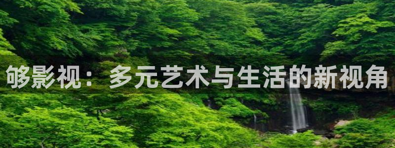 老湿影院68：够影视：多元艺术与生活的新视角