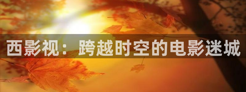 老湿影院破解版：西影视：跨越时空的电影迷城